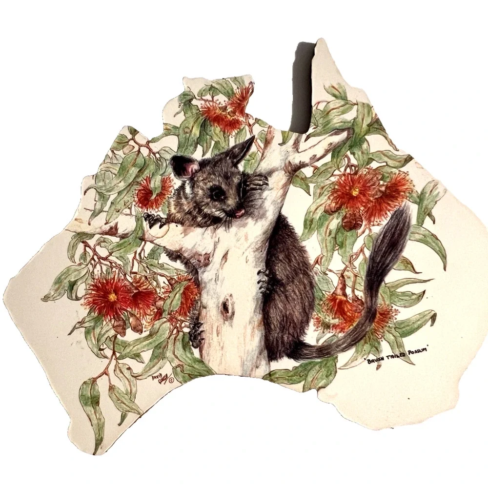 Set of 6 Wildlife Creations Cork Back Coasters Australia Animals - In Map Shape
